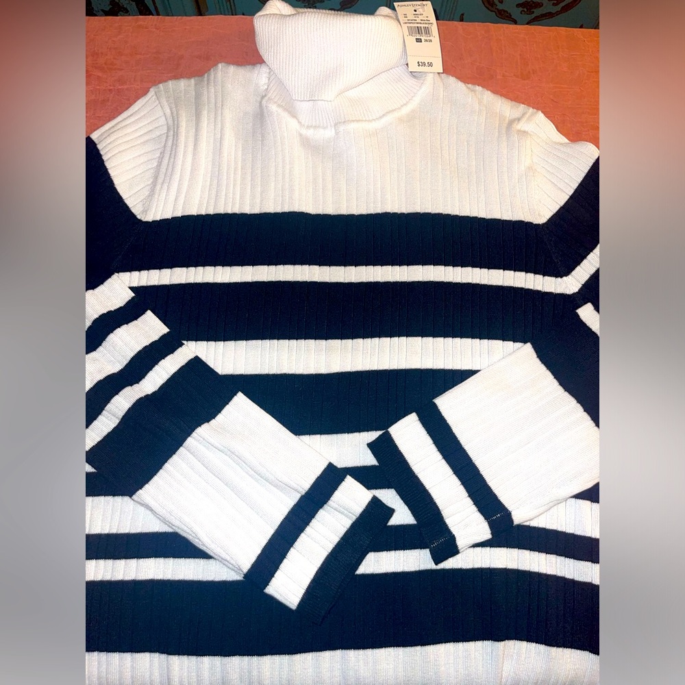 Women’s long sleeve turtleneck sweater